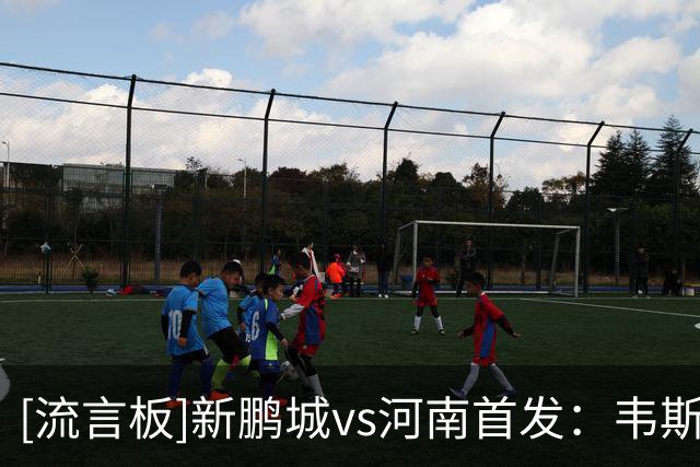 [流言板]新鹏城vs河南首发：韦斯利PK纳萨里奥，王上源、周定洋出战